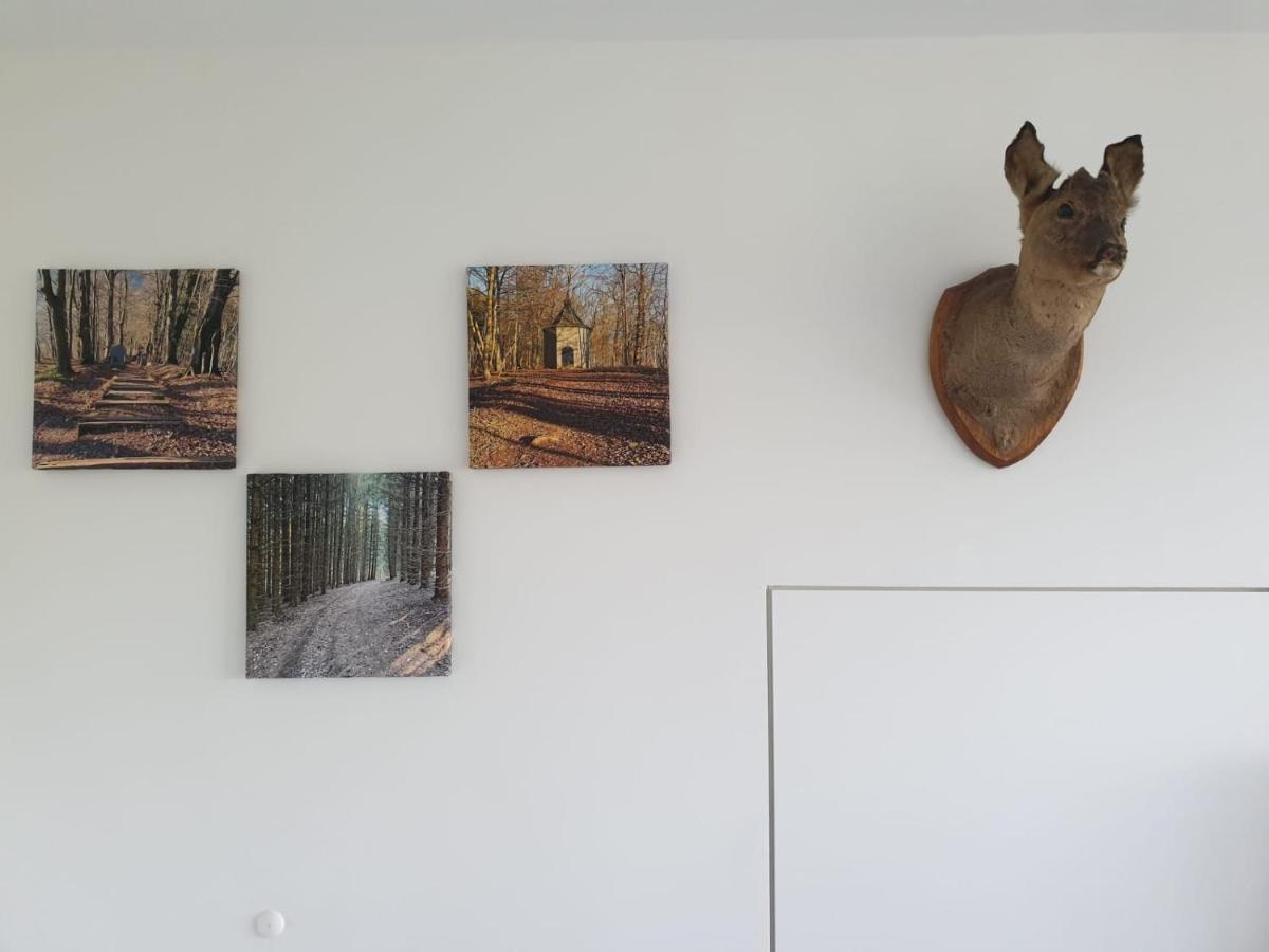 Terrasses De - Duplex 433 